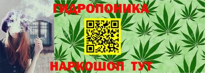 PSILOCYBIN Партизанск