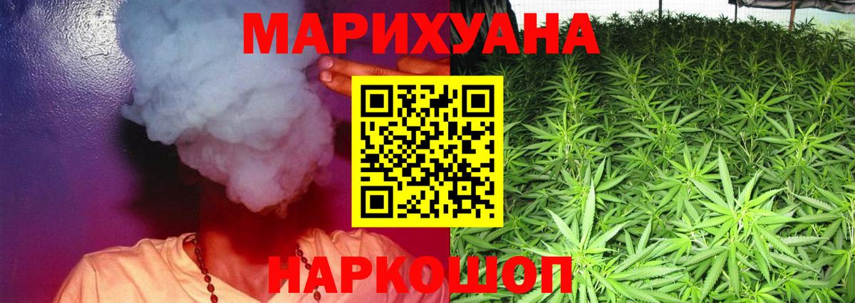 Тамбов  Шишки марихуана семена  Вход с VPN  Бошки марихуана планчик 
